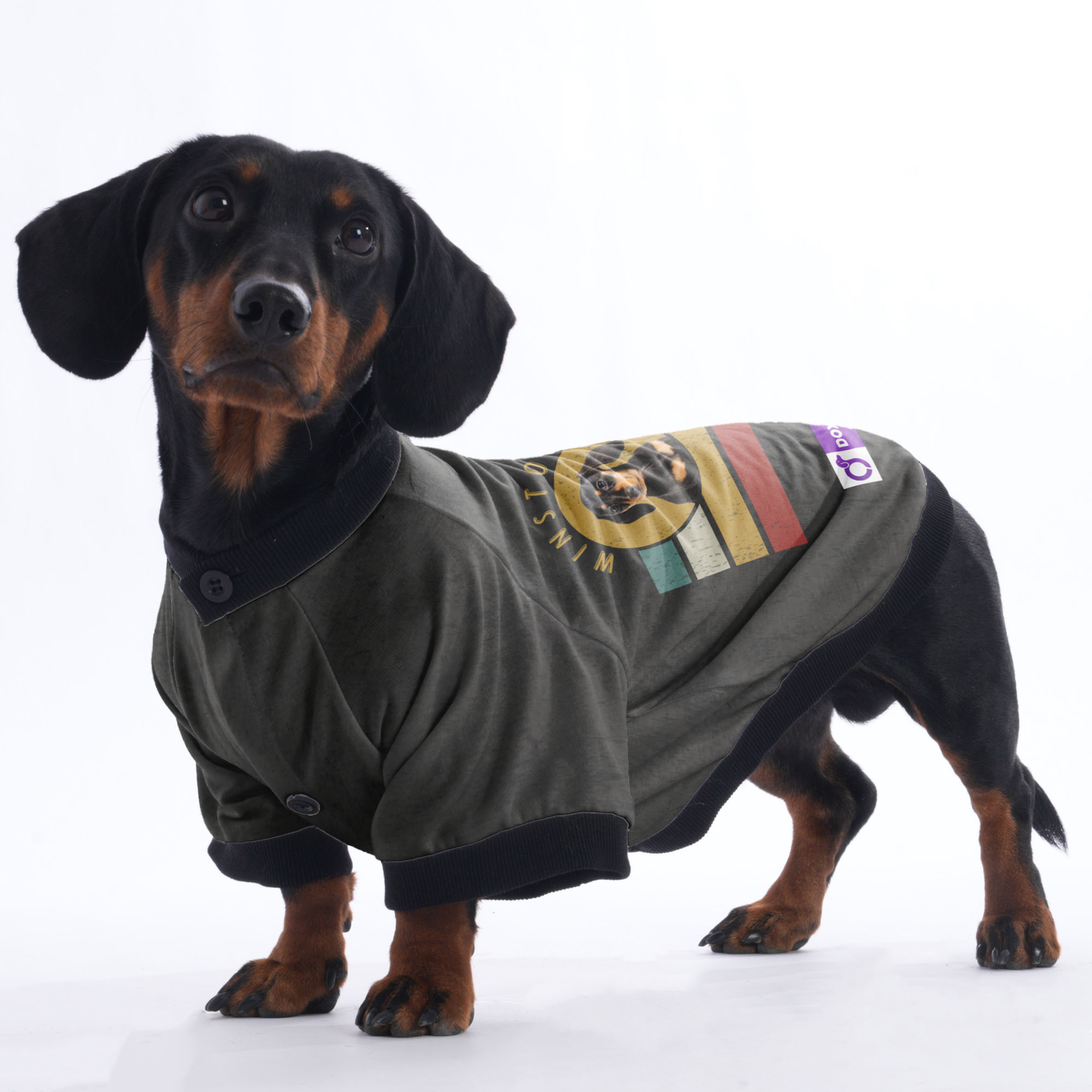 Personalized Dachshund Jacket with Your Dog's Name and Picture