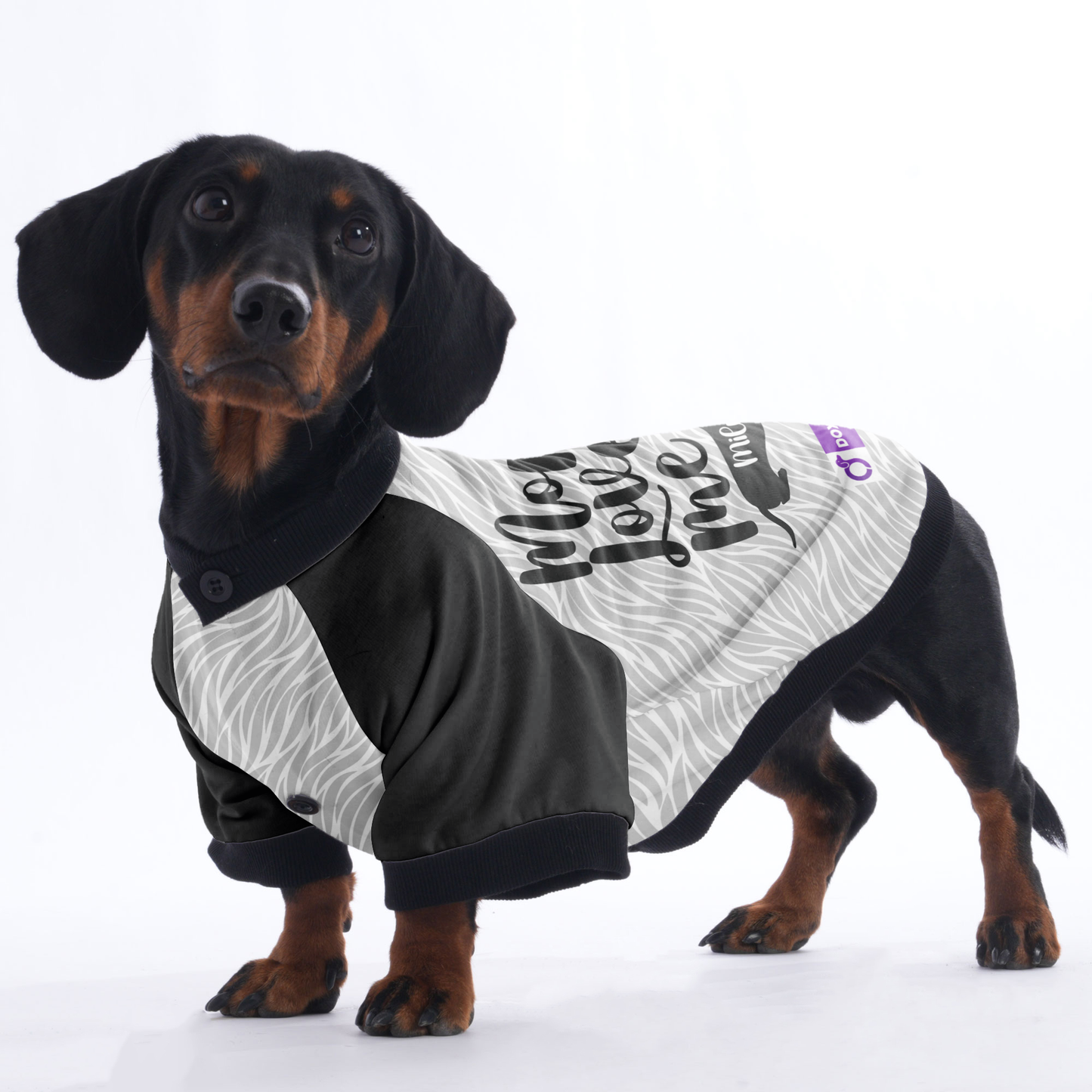 Custom Jacket for Dachshunds with Your dachshund's Name