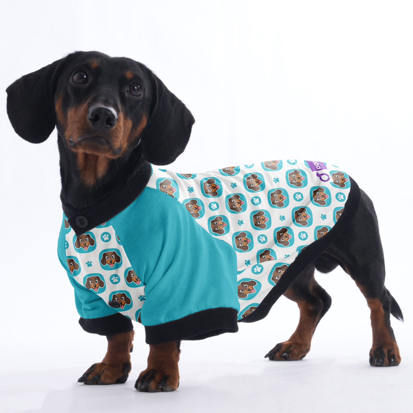 Nelly - Jacket for Dachshunds