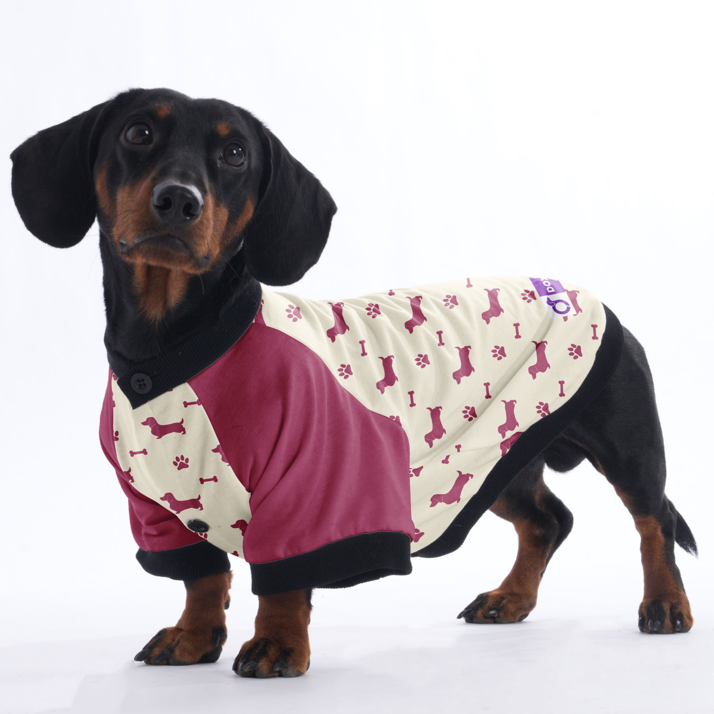 Lulu - Jacket for Dachshunds