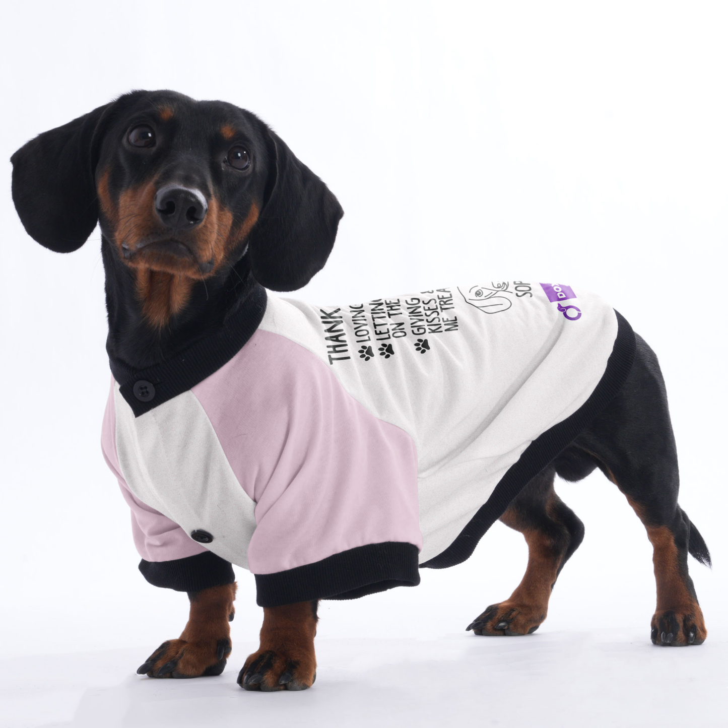 Customized Doxie Jacket with Your Dog's Name