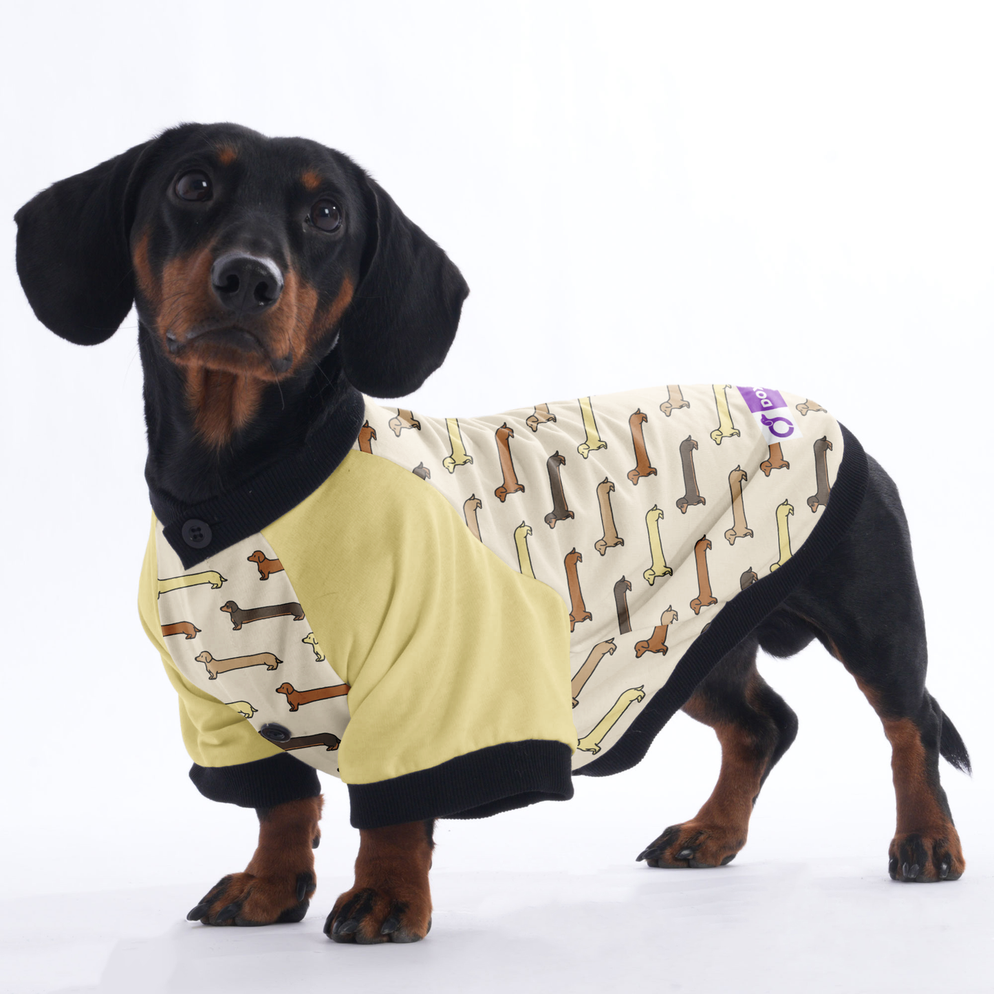 Birdie  - Jacket for Dachshunds