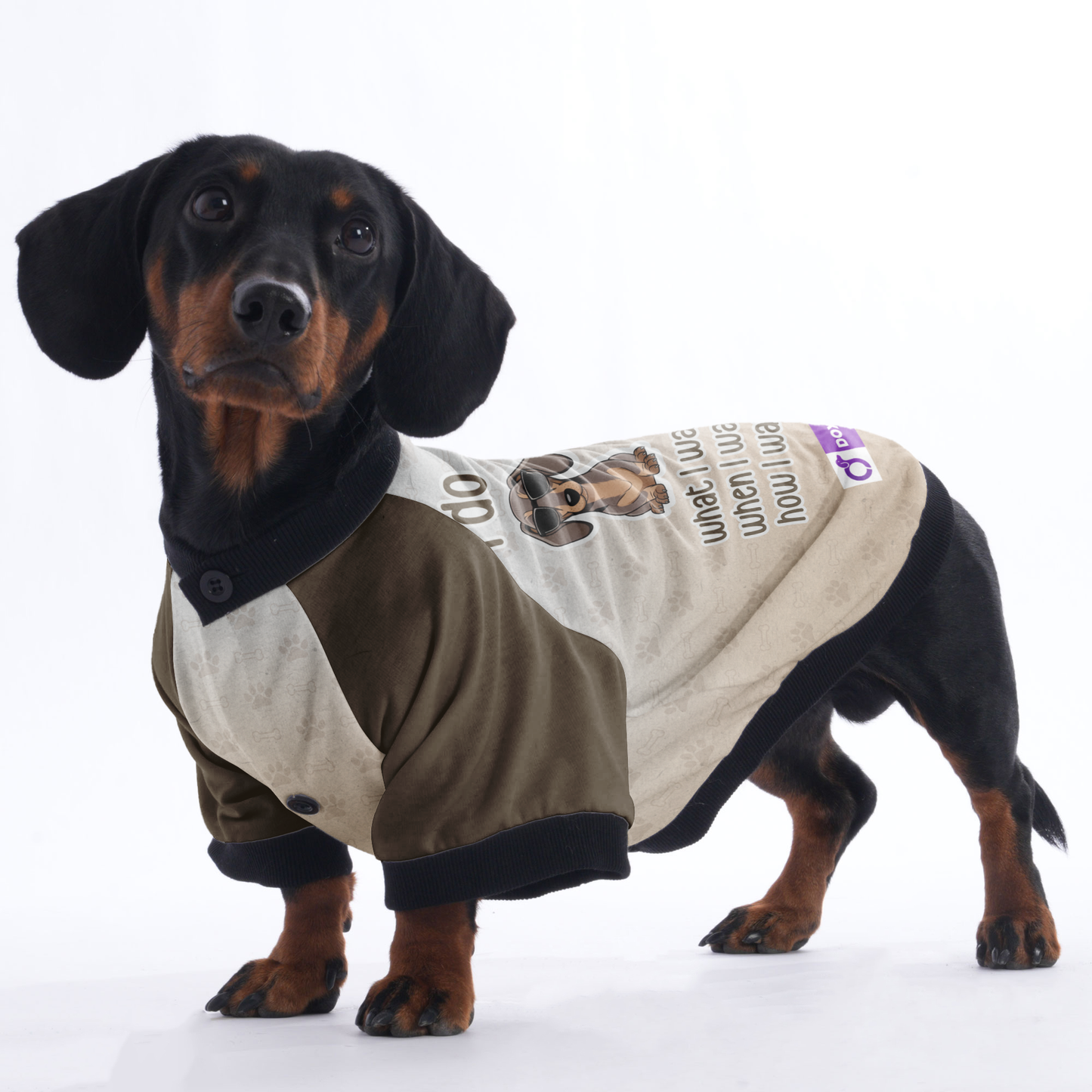 I do what i want,when i want, how i want - Jacket for Dachshunds