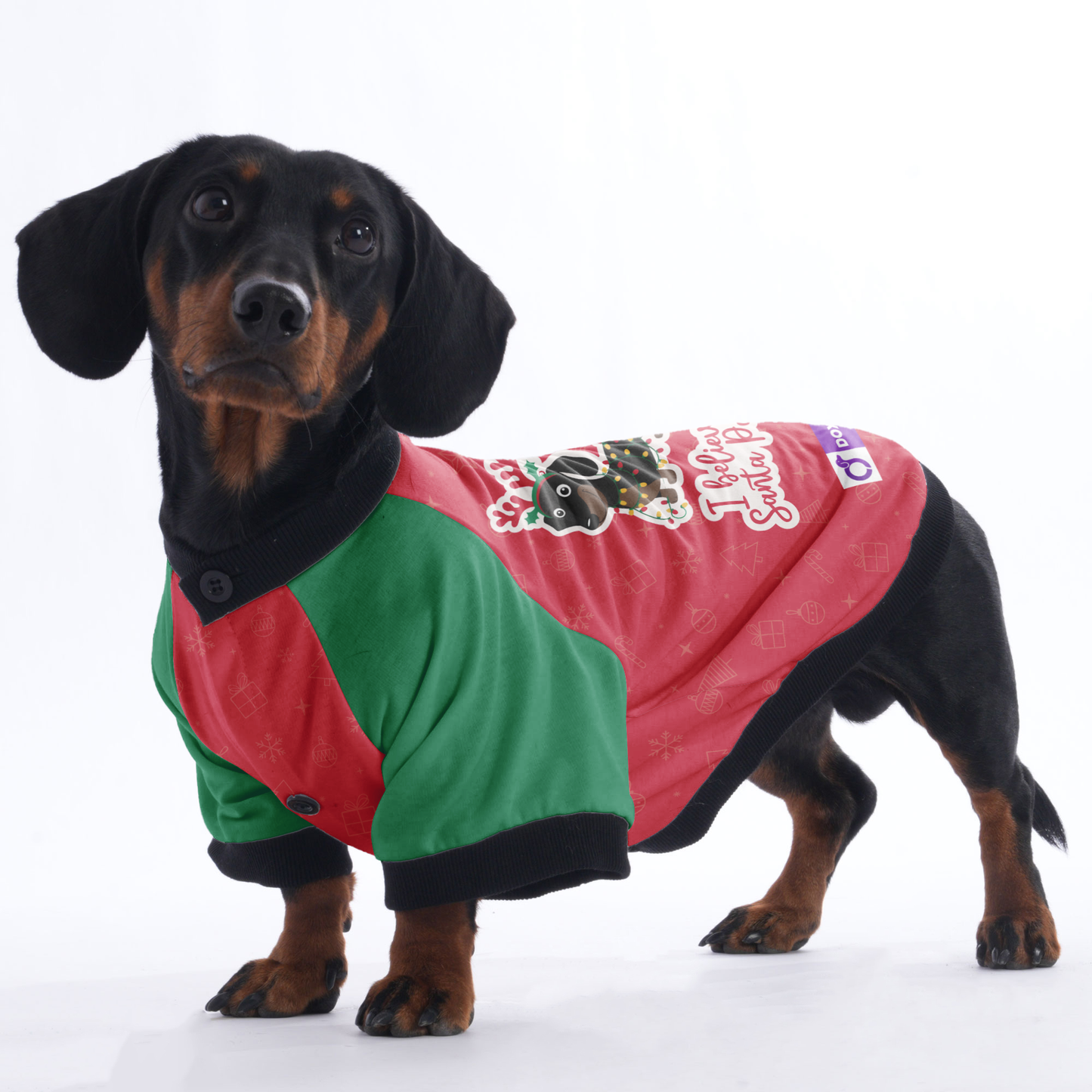 I believe in Santa Paws  - Jacket for Dachshunds