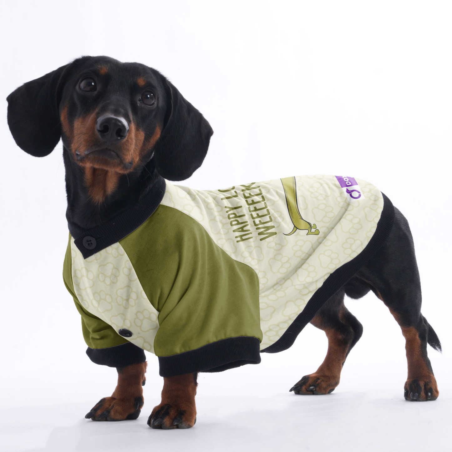 Happy Long Weeeeeeeeekend - Jacket for Dachshunds