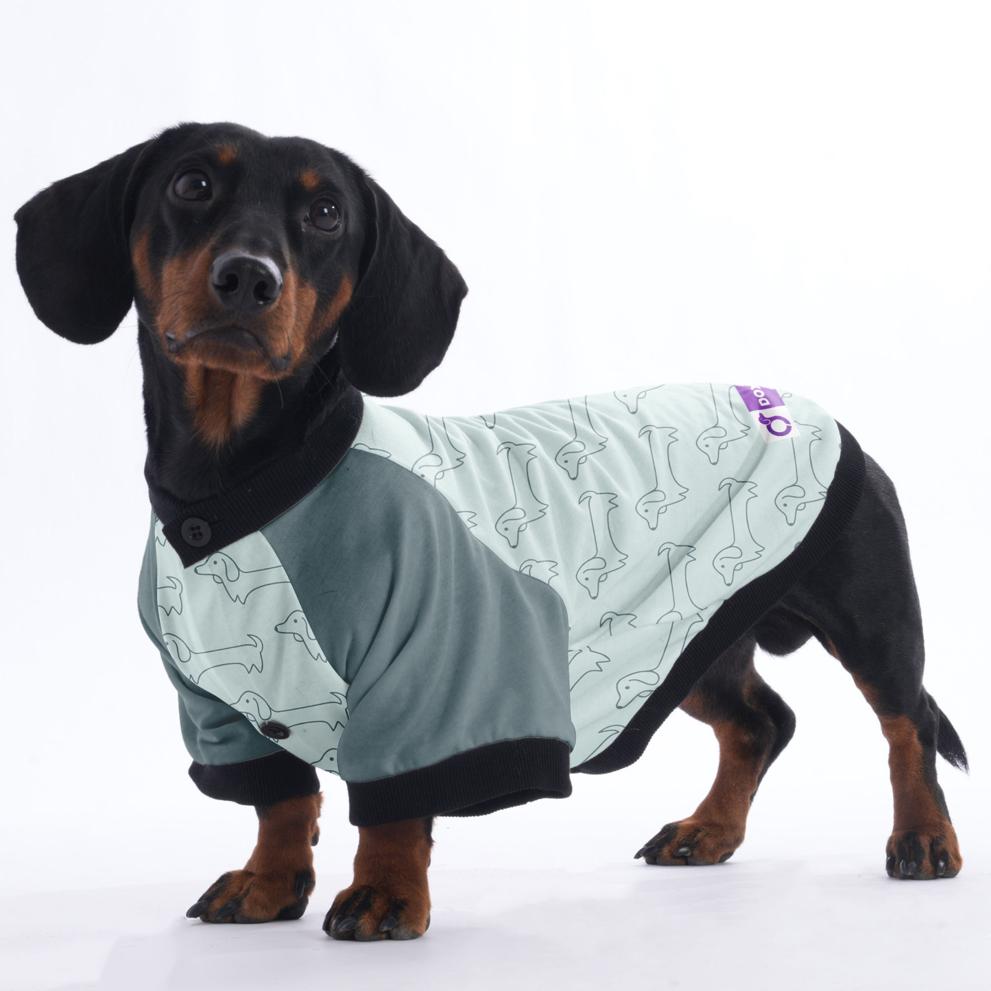 Penny - Jacket for Dachshunds