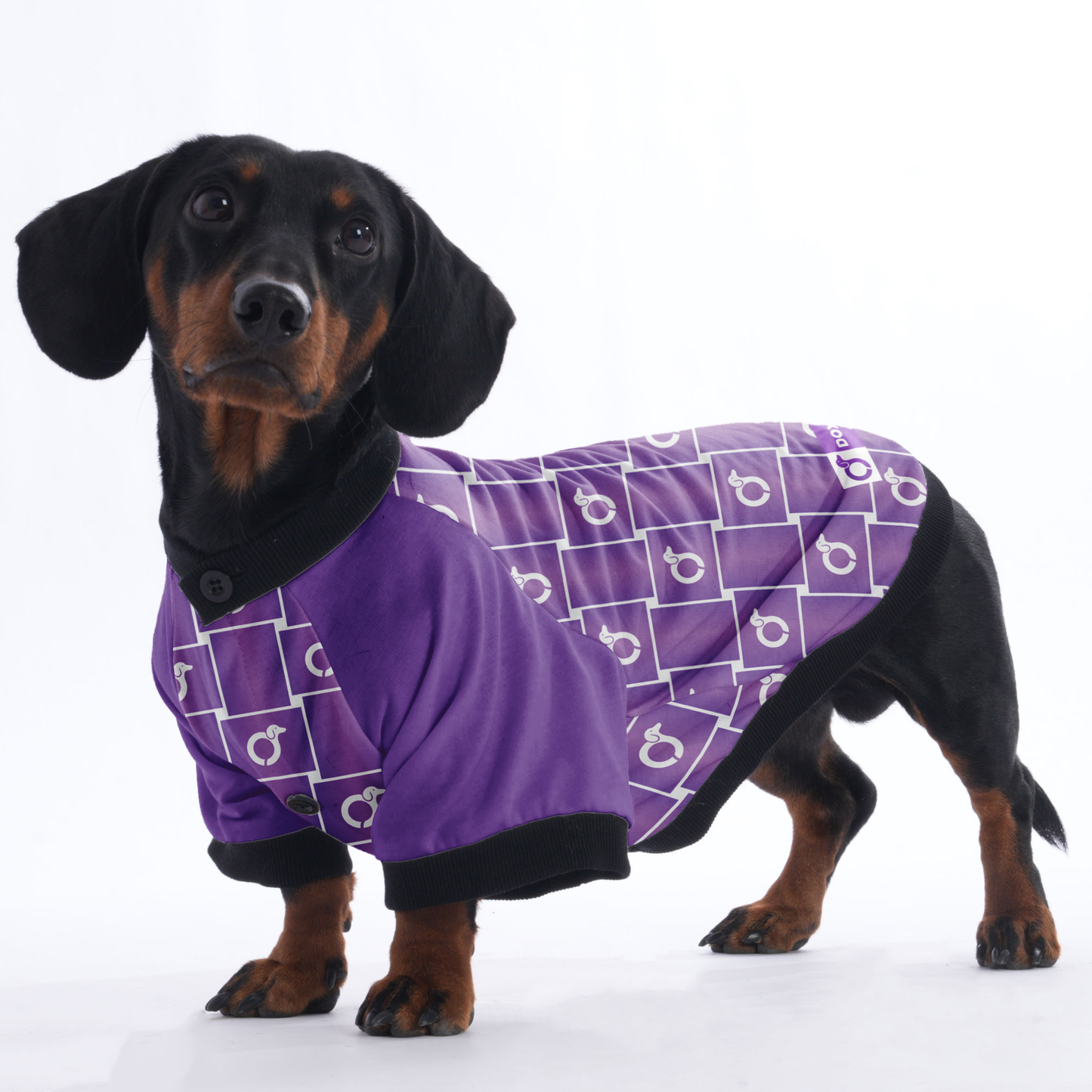 Tom - Jacket for Dachshunds