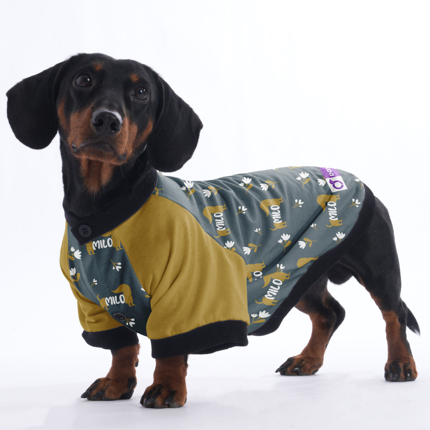 Custom Jacket for Dachshunds with Your Pet's Name Pattern