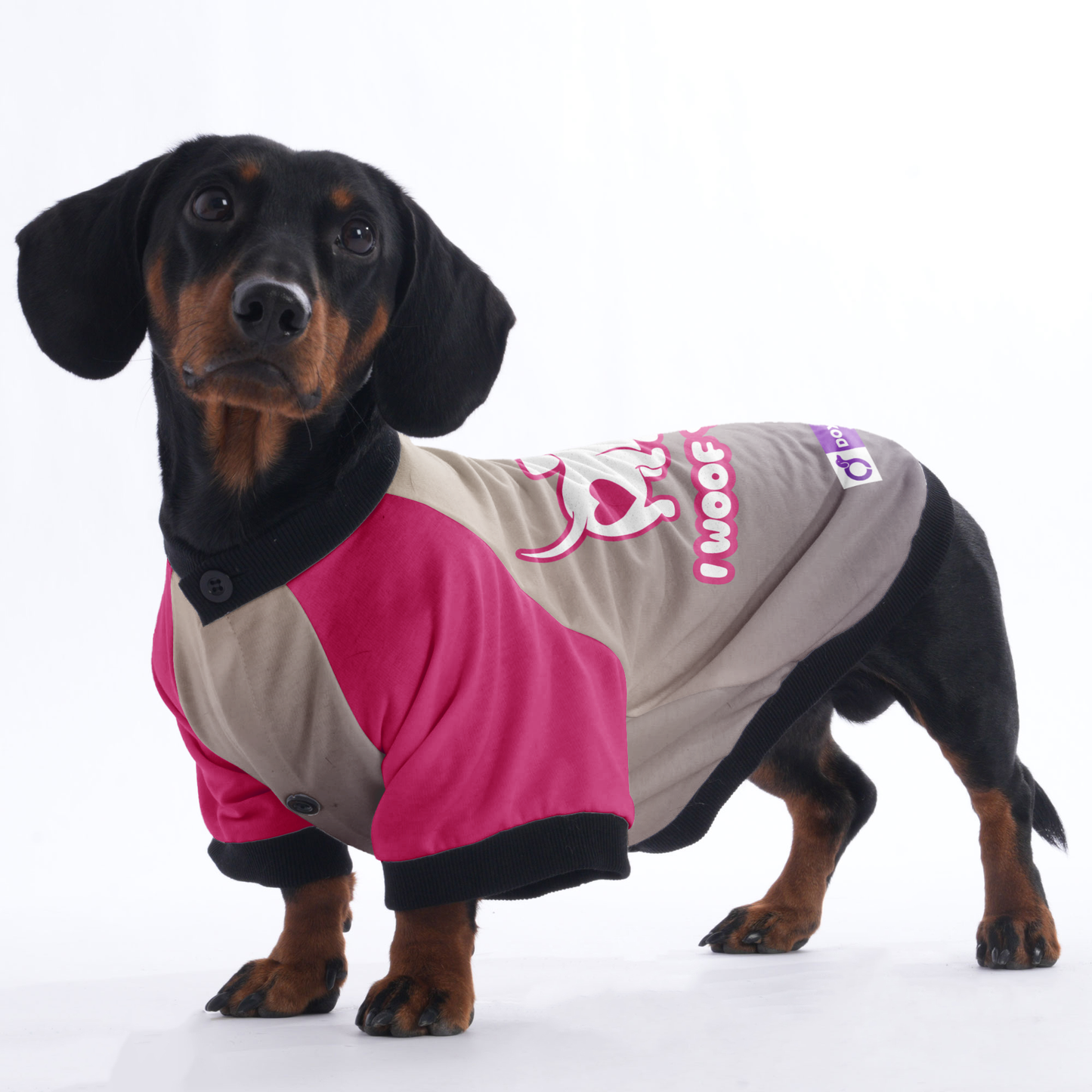 I woof you - Jacket for Dachshunds