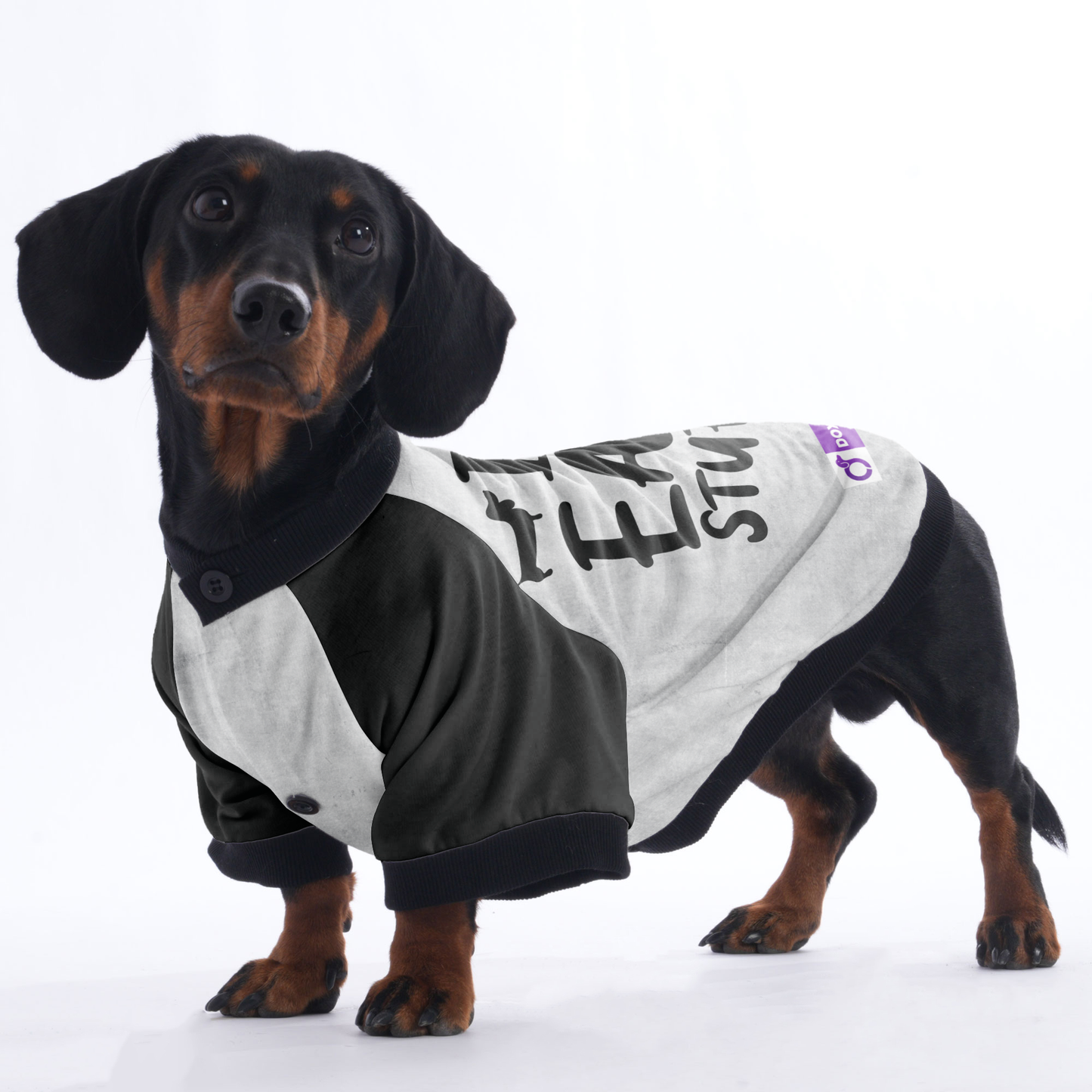 I eat stuff - Jacket for Dachshunds