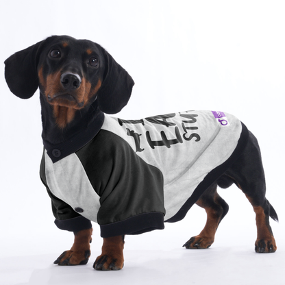 I eat stuff - Jacket for Dachshunds