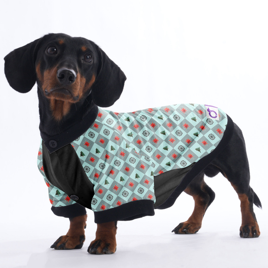 Rocky - Jacket for Dachshunds