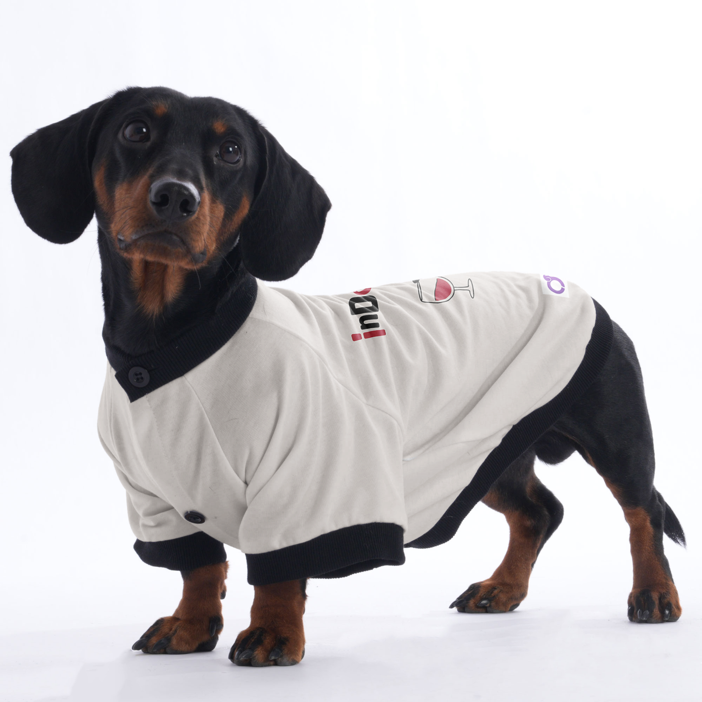 Chloe - Jacket for Dachshunds