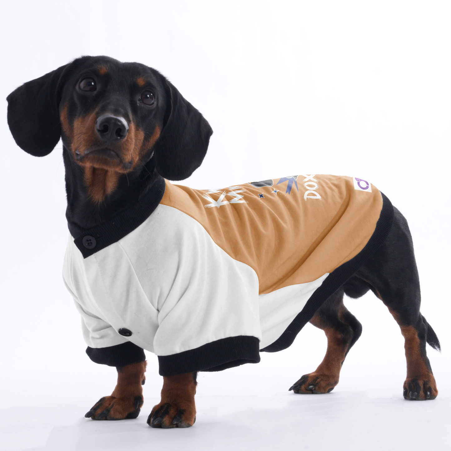 Maggie - Jacket for Dachshunds