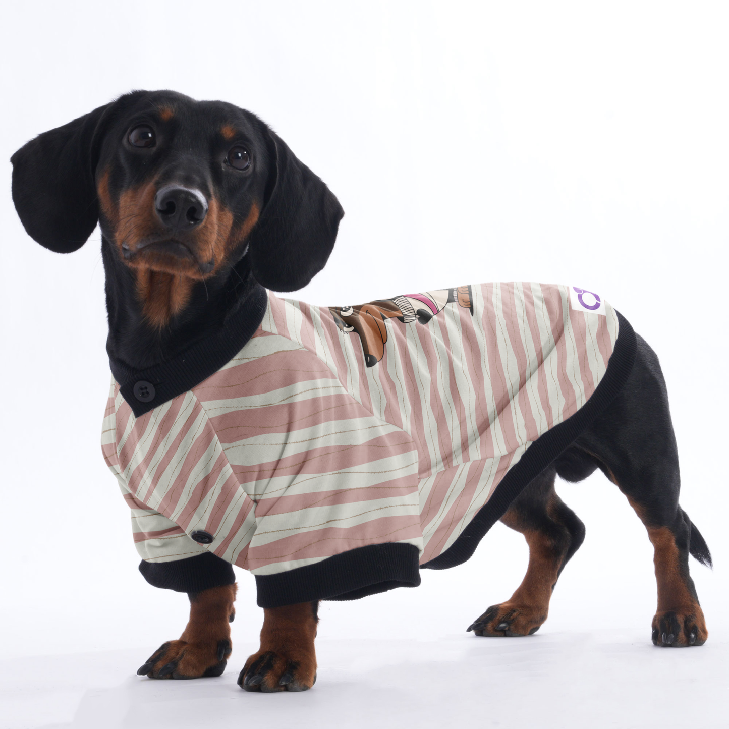 Stella - Jacket for Dachshunds