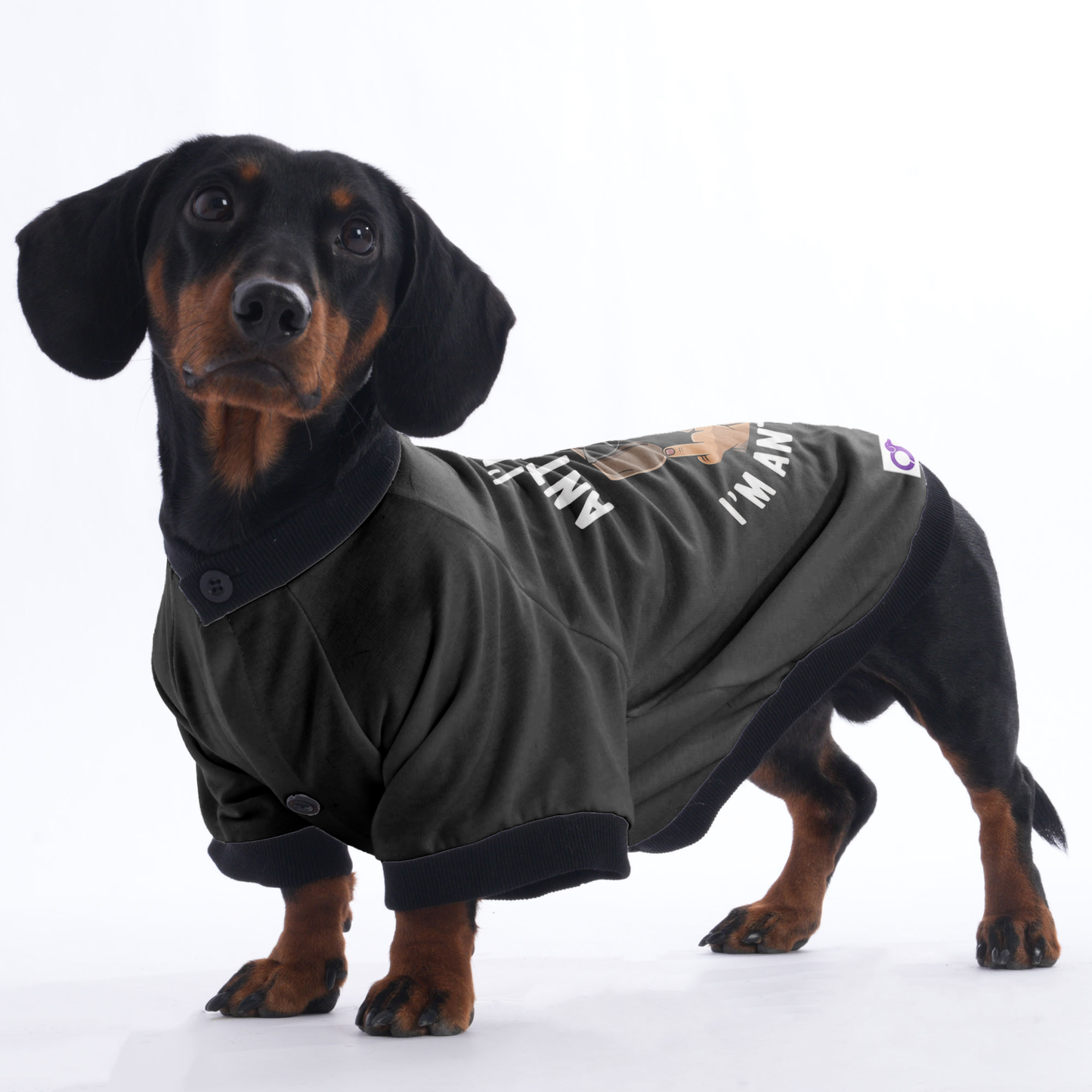 Nala - Jacket for Dachshunds