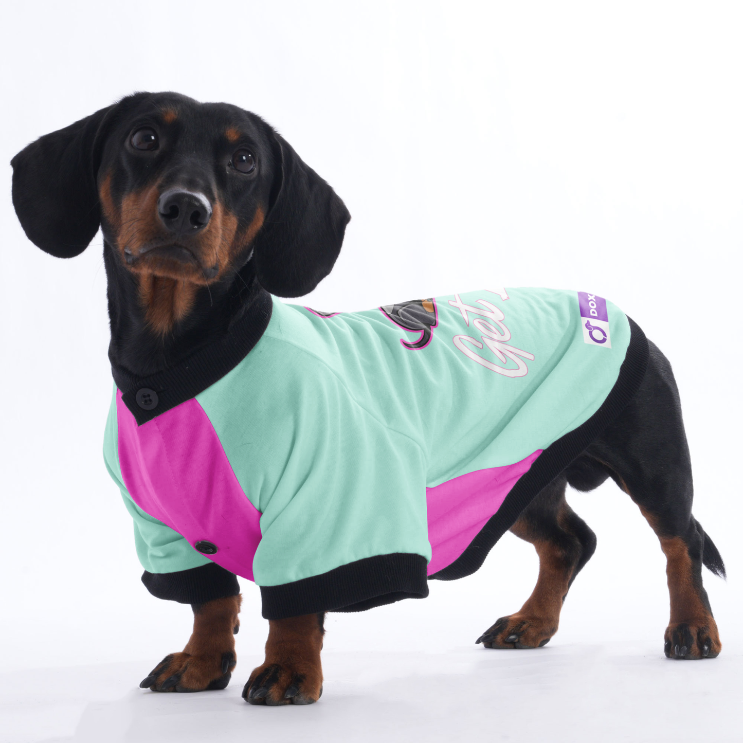 Willow - Jacket for Dachshunds