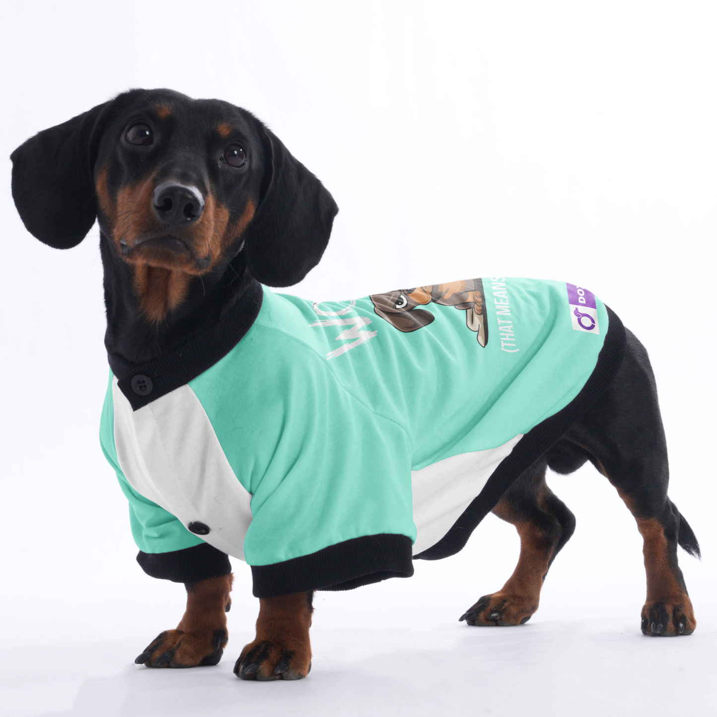 Ruby - Jacket for Dachshunds