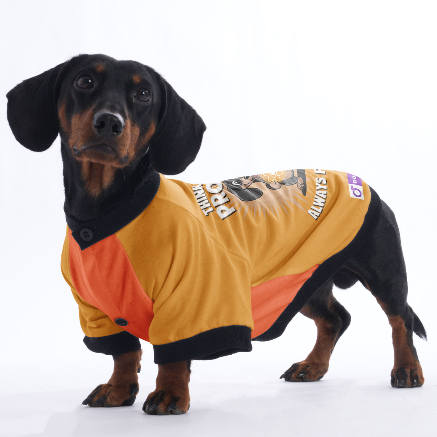 Bruno - Jacket for Dachshunds