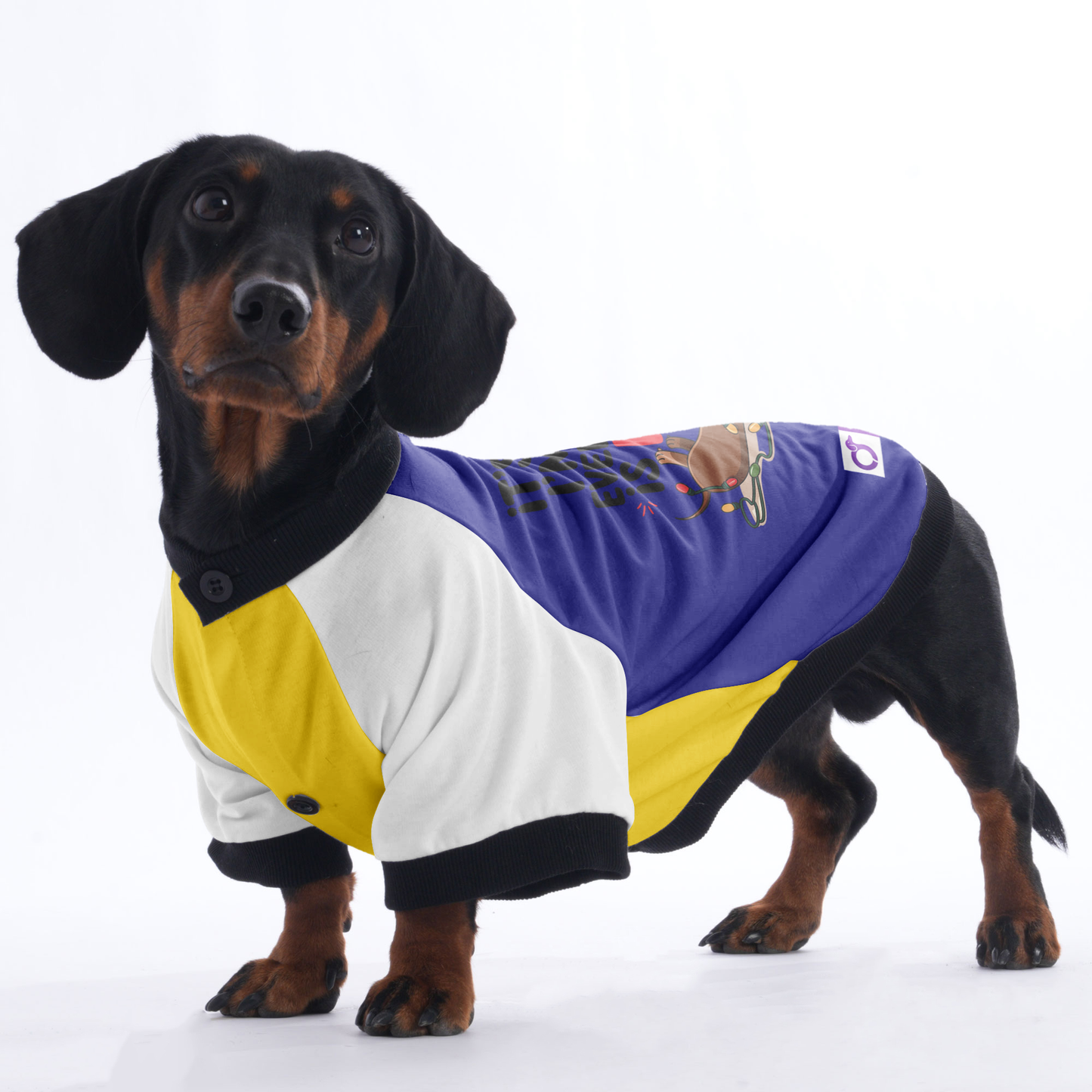 Lucy - Jacket for Dachshunds