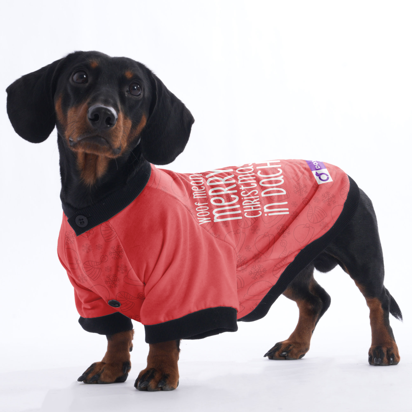 Woof means Merry Christmas in Dachshund - Jacket for Dachshunds