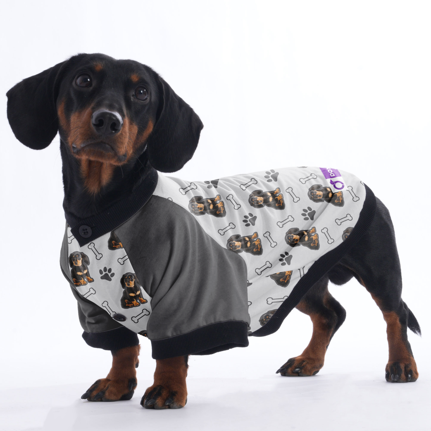 Custom Jacket for Dachshunds Featuring with dachshund's picture