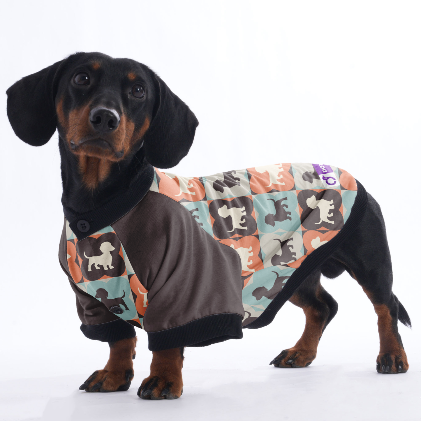 Molly  - Jacket for Dachshunds