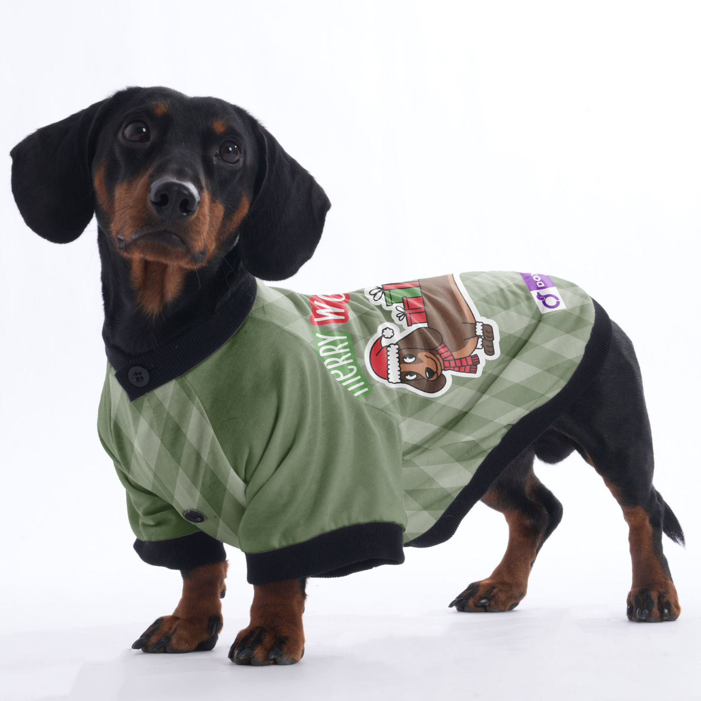 Merry Woofmas - Jacket for Dachshunds