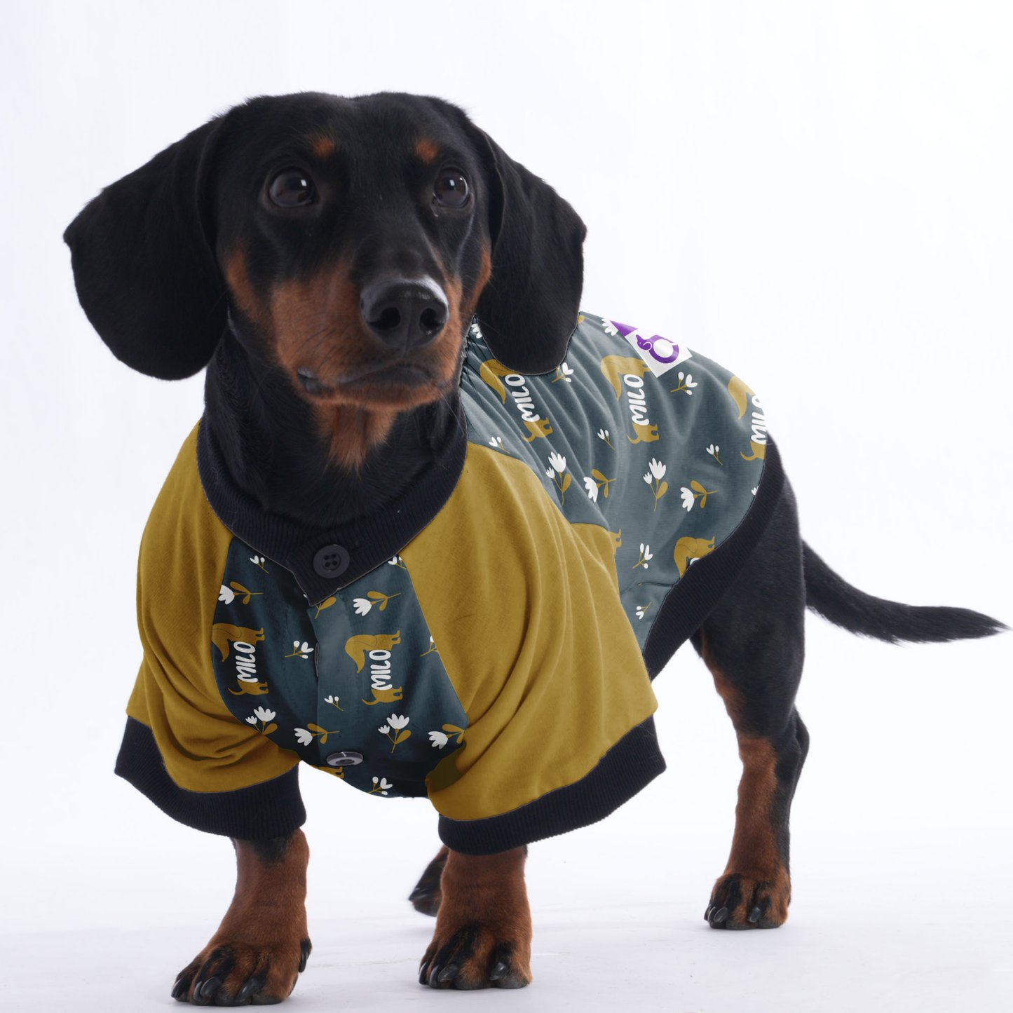 Custom Jacket for Dachshunds with Your Pet's Name Pattern