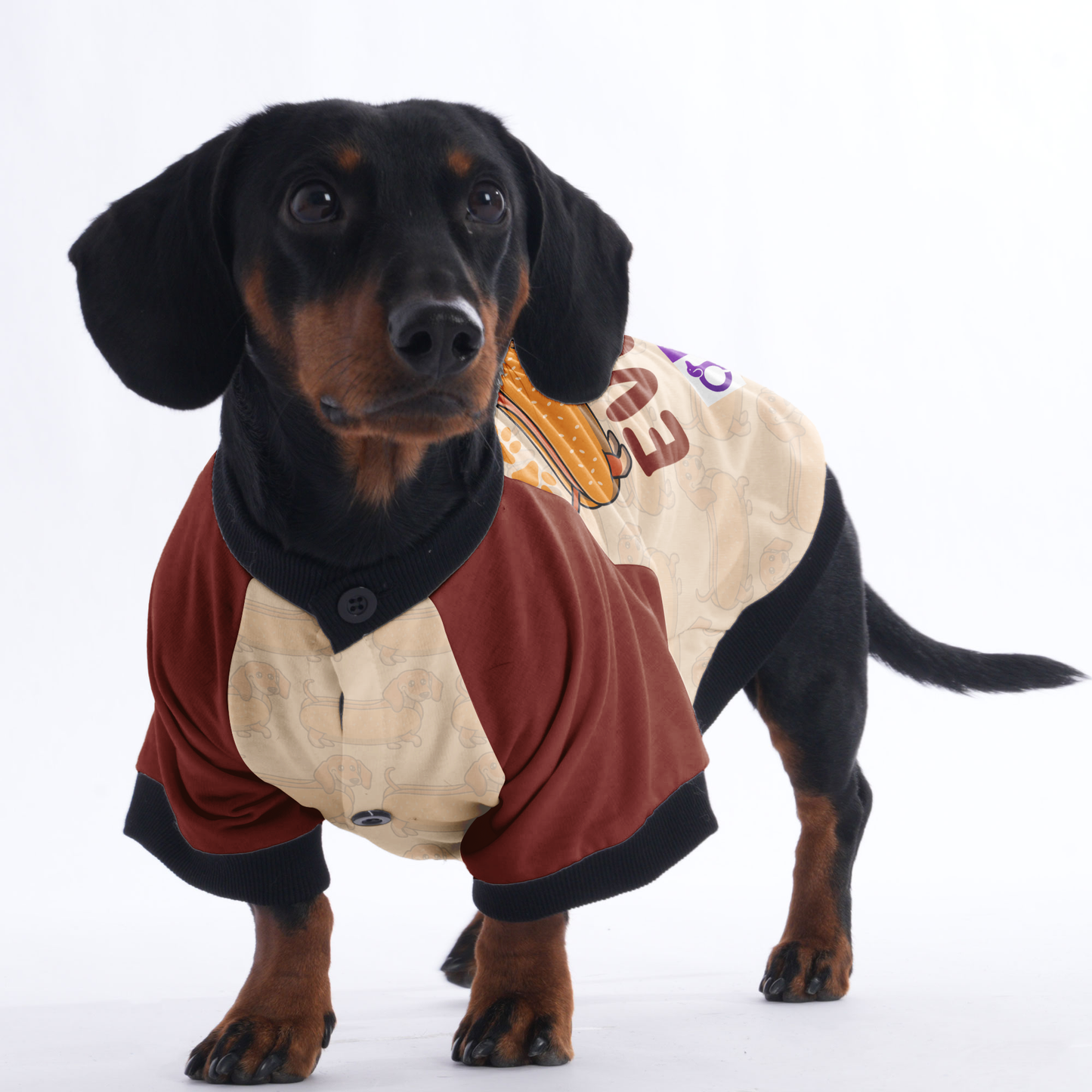 The cutest hot dog ever - Jacket for Dachshunds