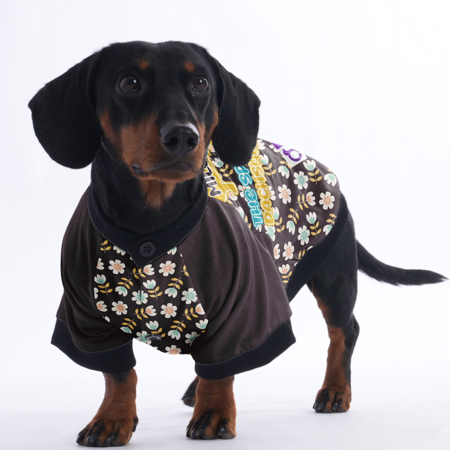 Personalized Dachshund Jacket with Your Dog's Name