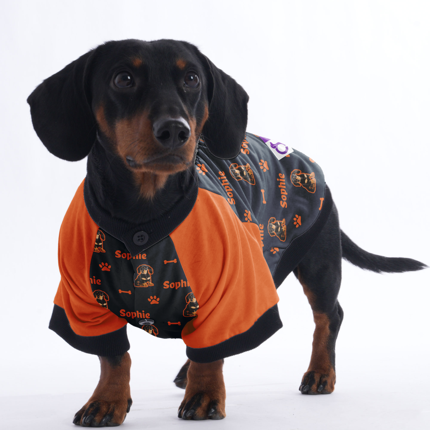 Customized Dachshund Jacket with Your Pet’s Name and Photo