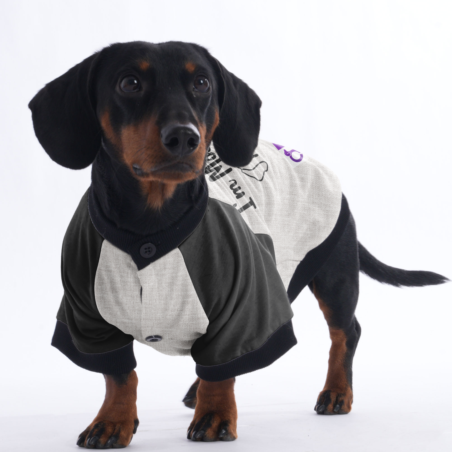 Personalized Doxie Jacket with Your Pup's Name