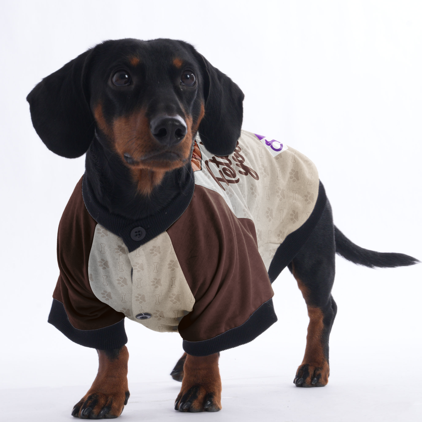 Fetch it yourself - Jacket for Dachshunds