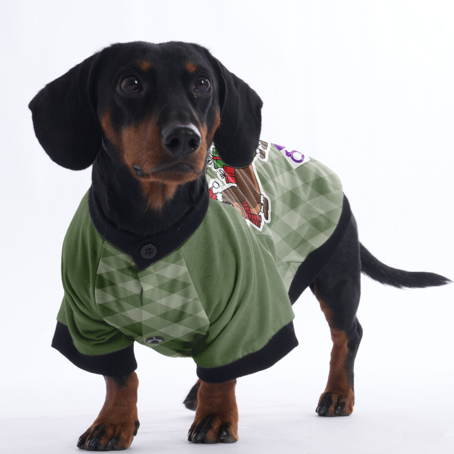 Merry Woofmas - Jacket for Dachshunds