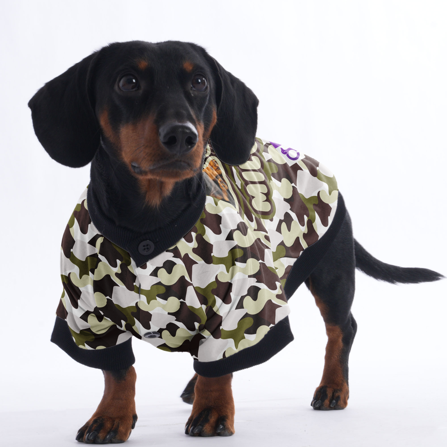 Custom Dachshund Jacket Featuring Your Dog's Name and Photo