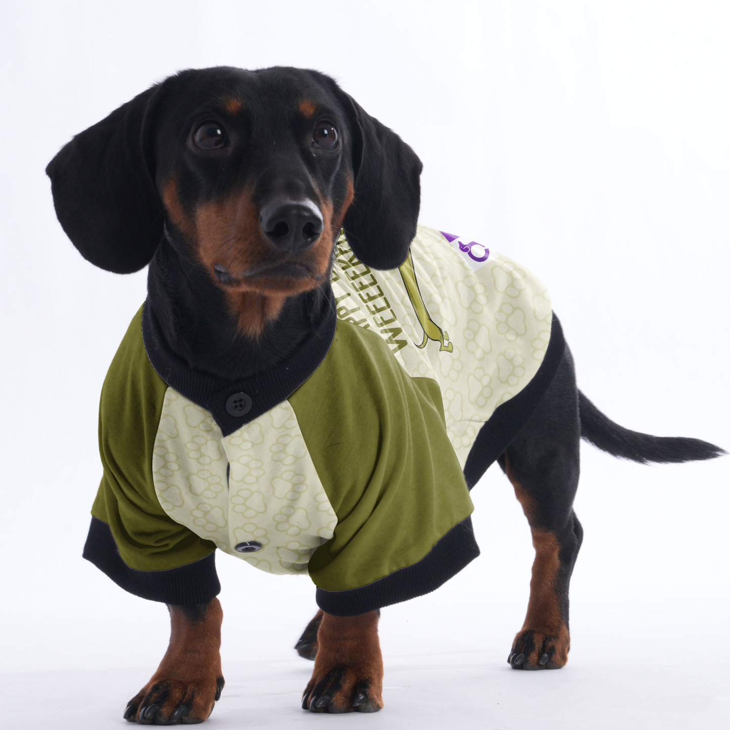 Happy Long Weeeeeeeeekend - Jacket for Dachshunds