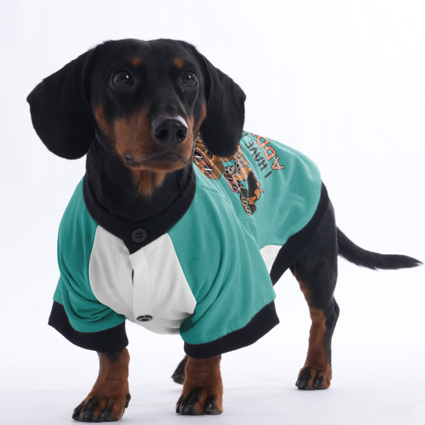 Toby - Jacket for Dachshunds