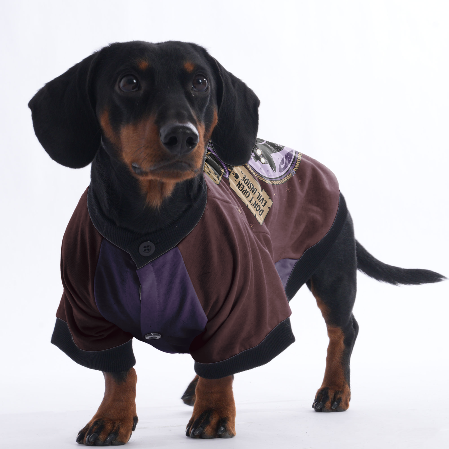 Scout - Jacket for Dachshunds