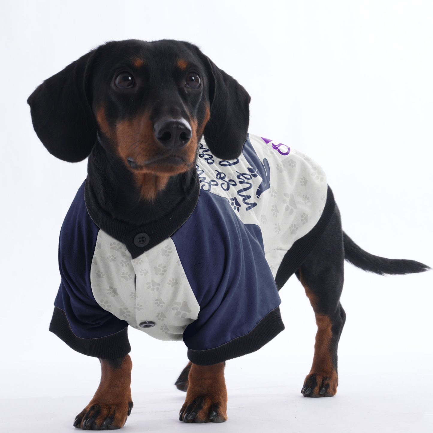 Life is short, so are my legs - Jacket for Dachshunds