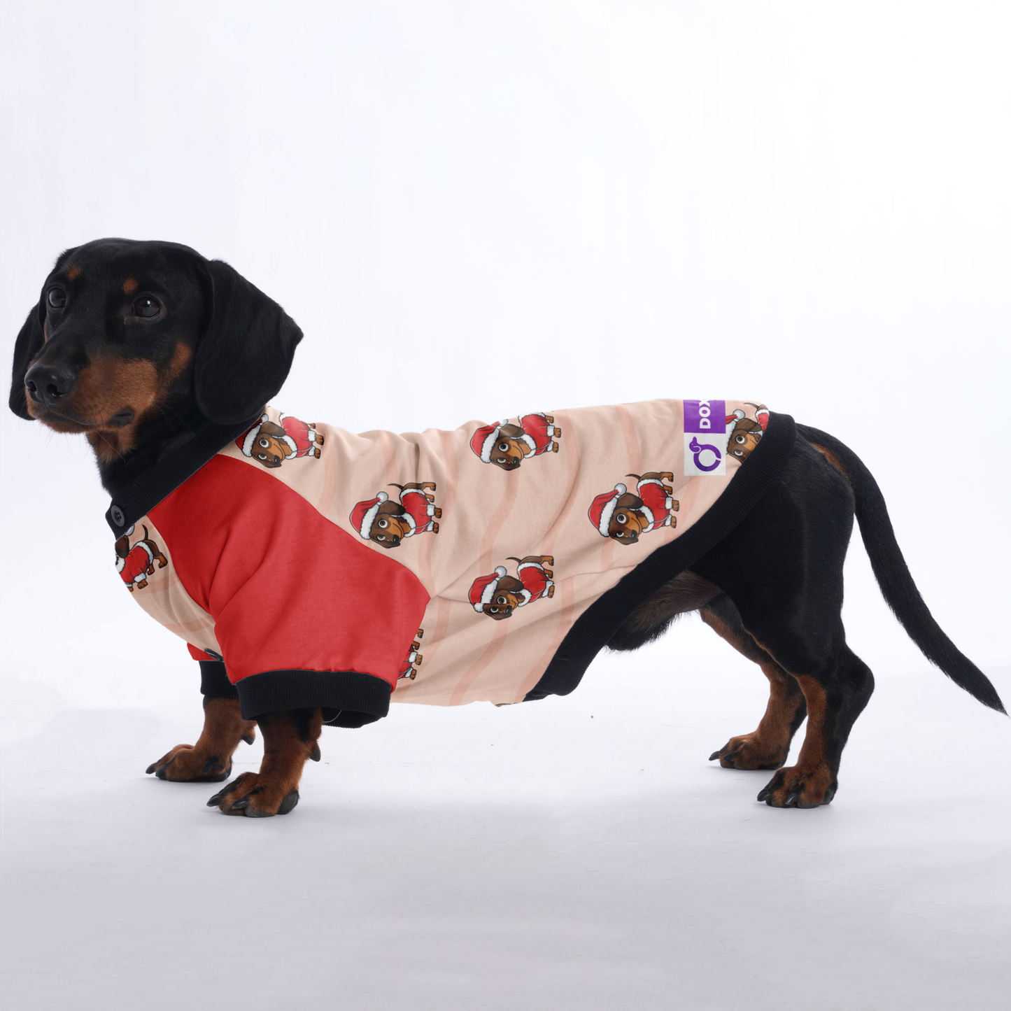 Winnie - Jacket for Dachshunds