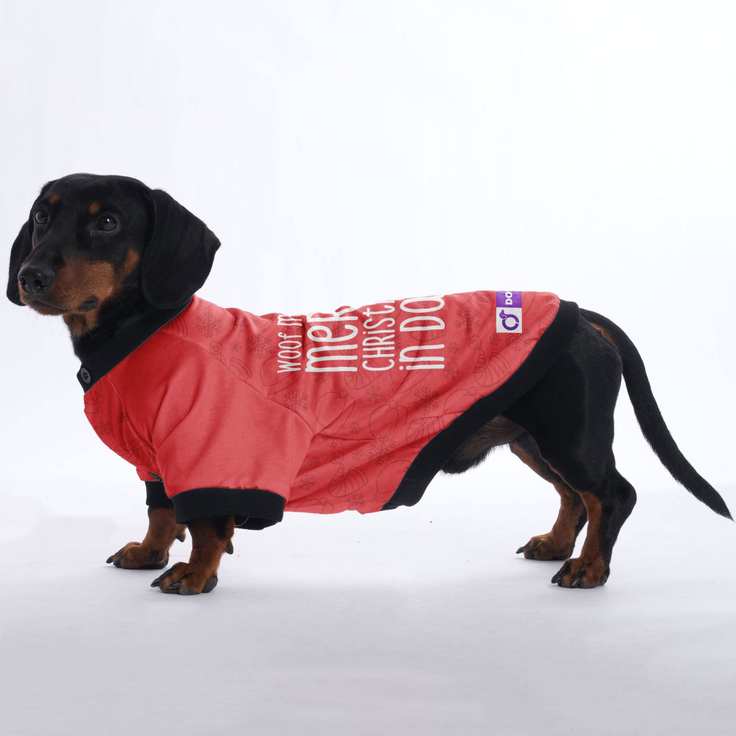 Woof means Merry Christmas in Dachshund - Jacket for Dachshunds