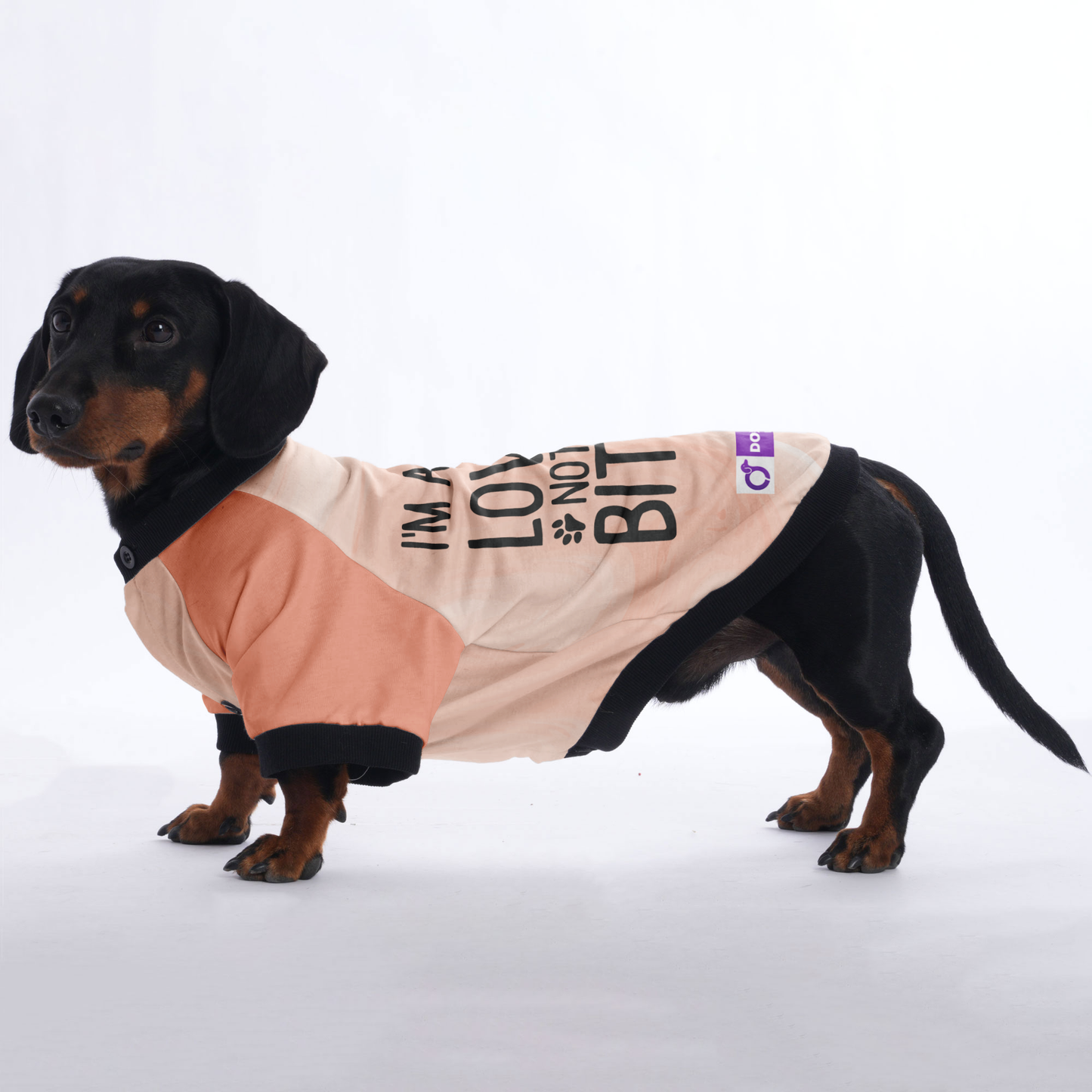 I'm a Lover Not a Biter - Jacket for Dachshunds