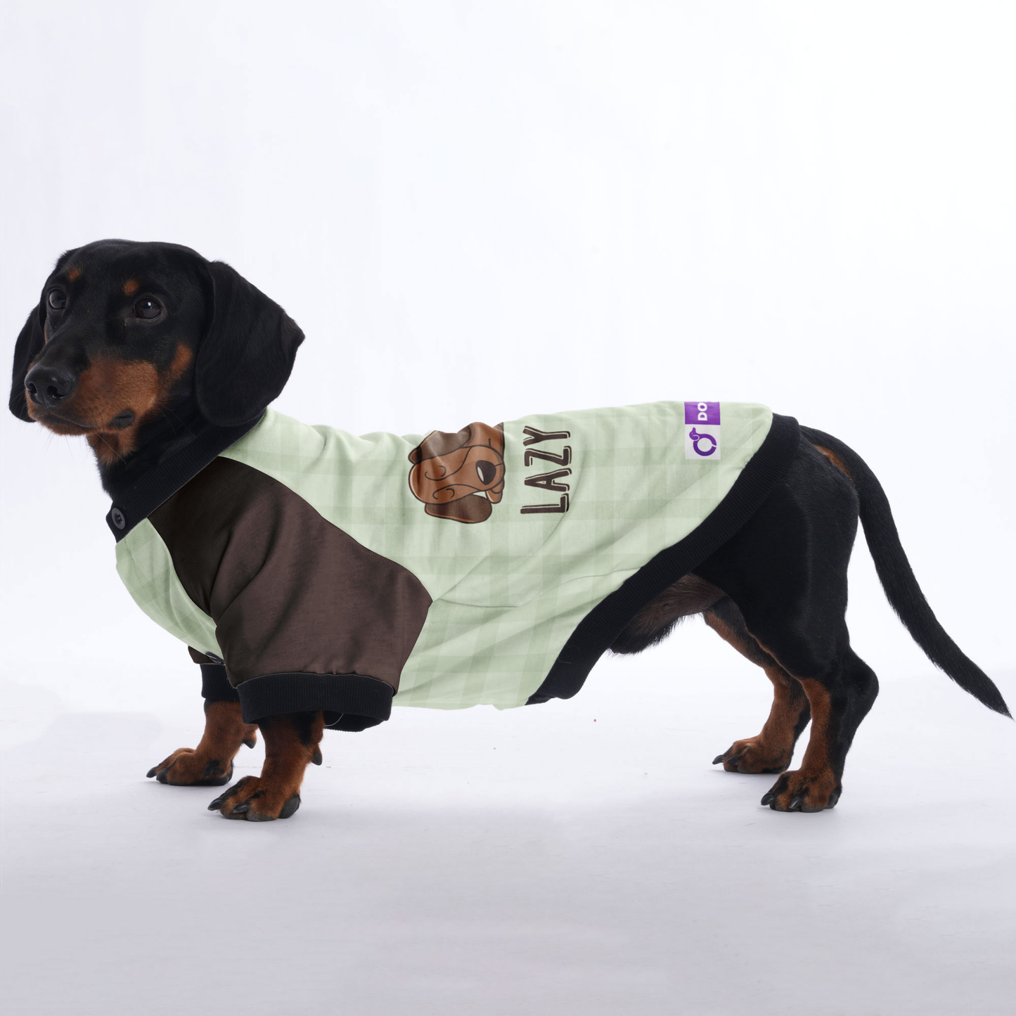 Lazy dog  - Jacket for Dachshunds