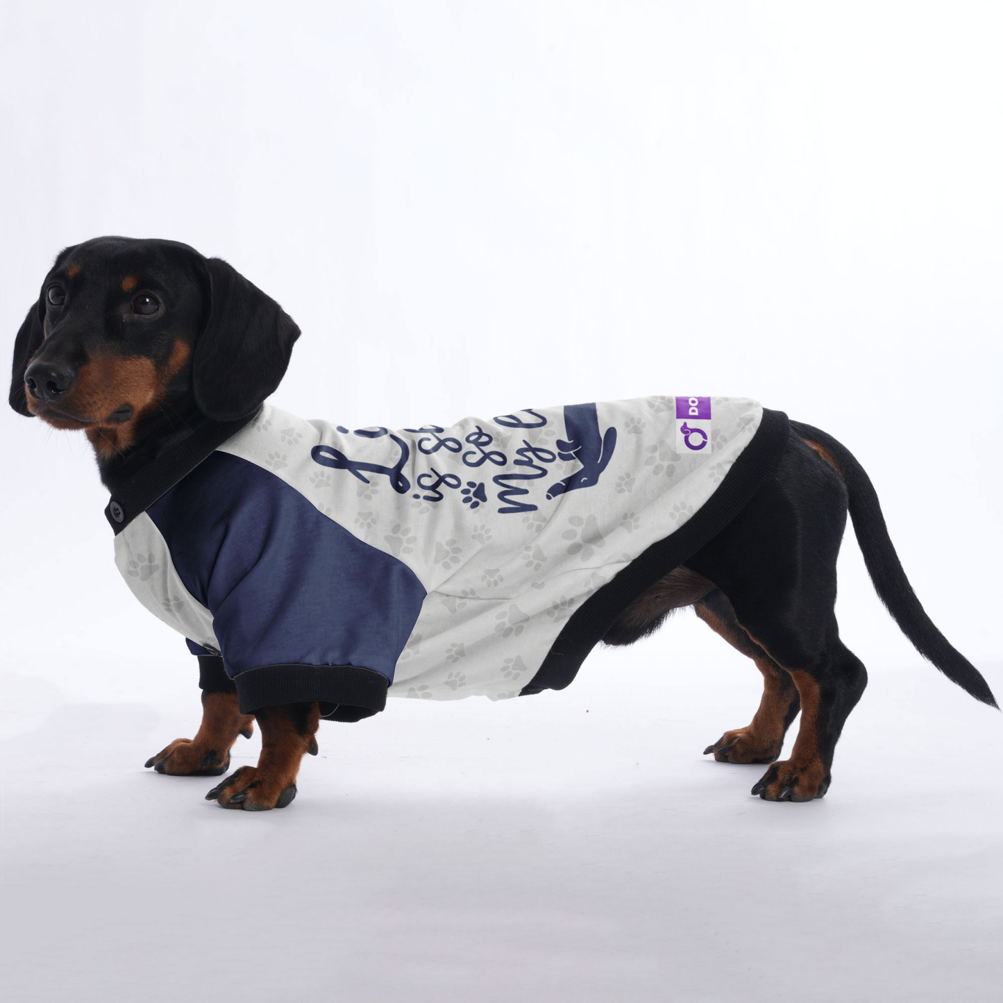 Life is short, so are my legs - Jacket for Dachshunds