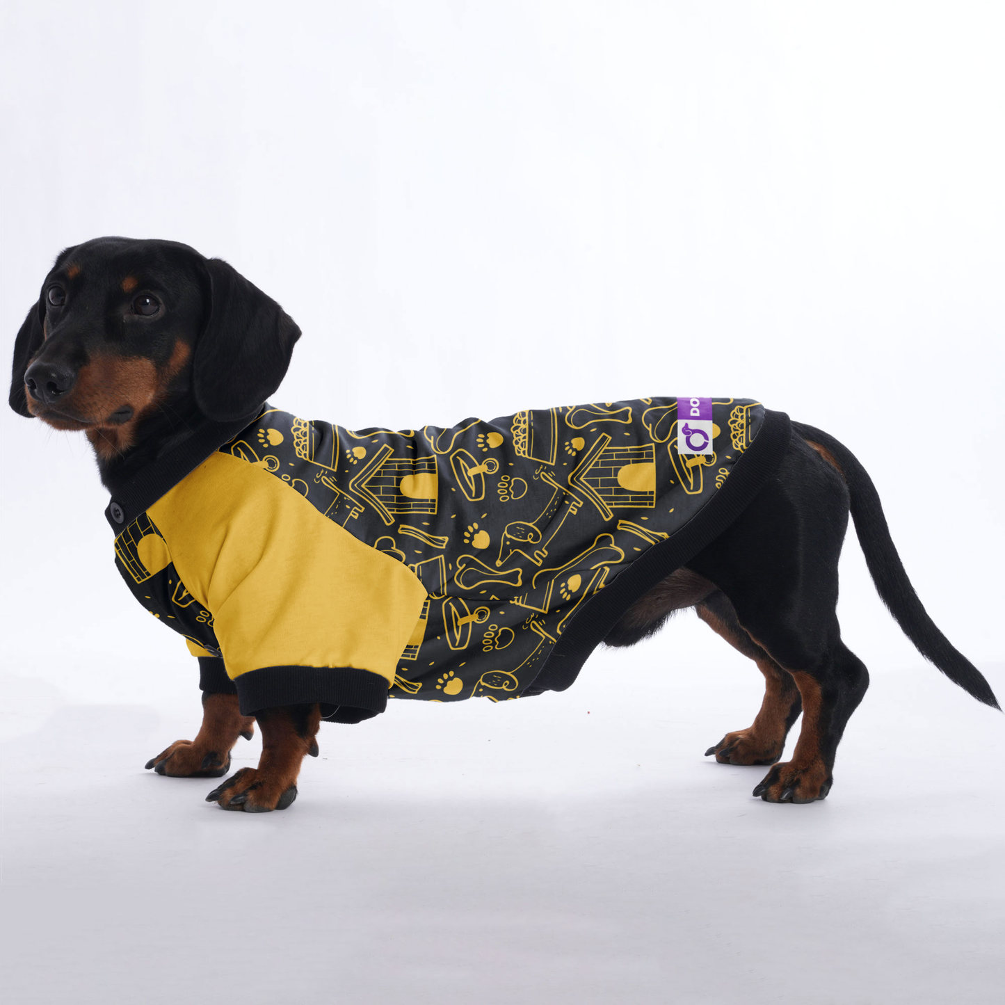 Waffles - Jacket for Dachshunds