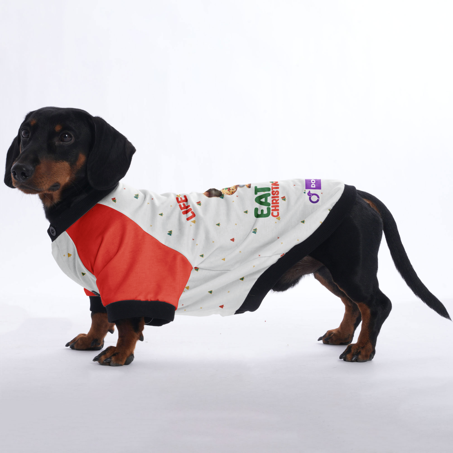 Life is short eat more christmas cookies - Jacket for Dachshunds