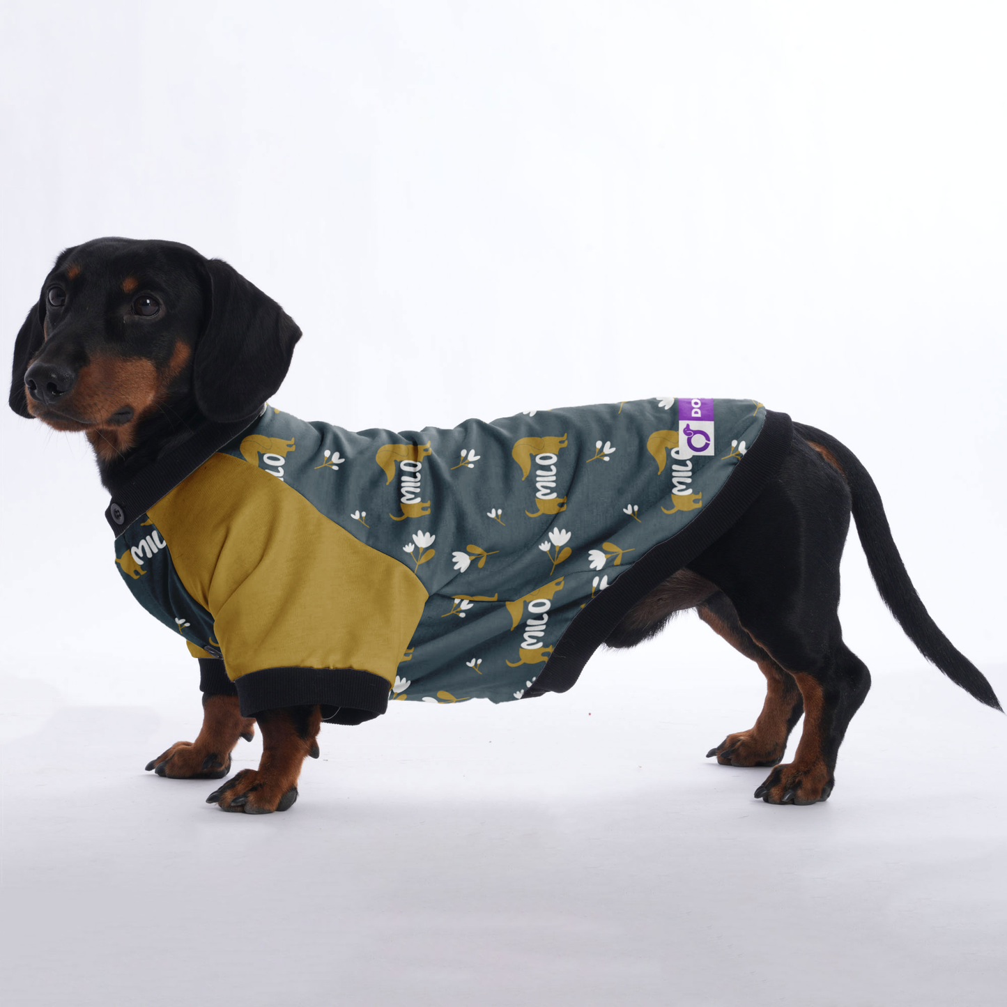 Custom Jacket for Dachshunds with Your Pet's Name Pattern