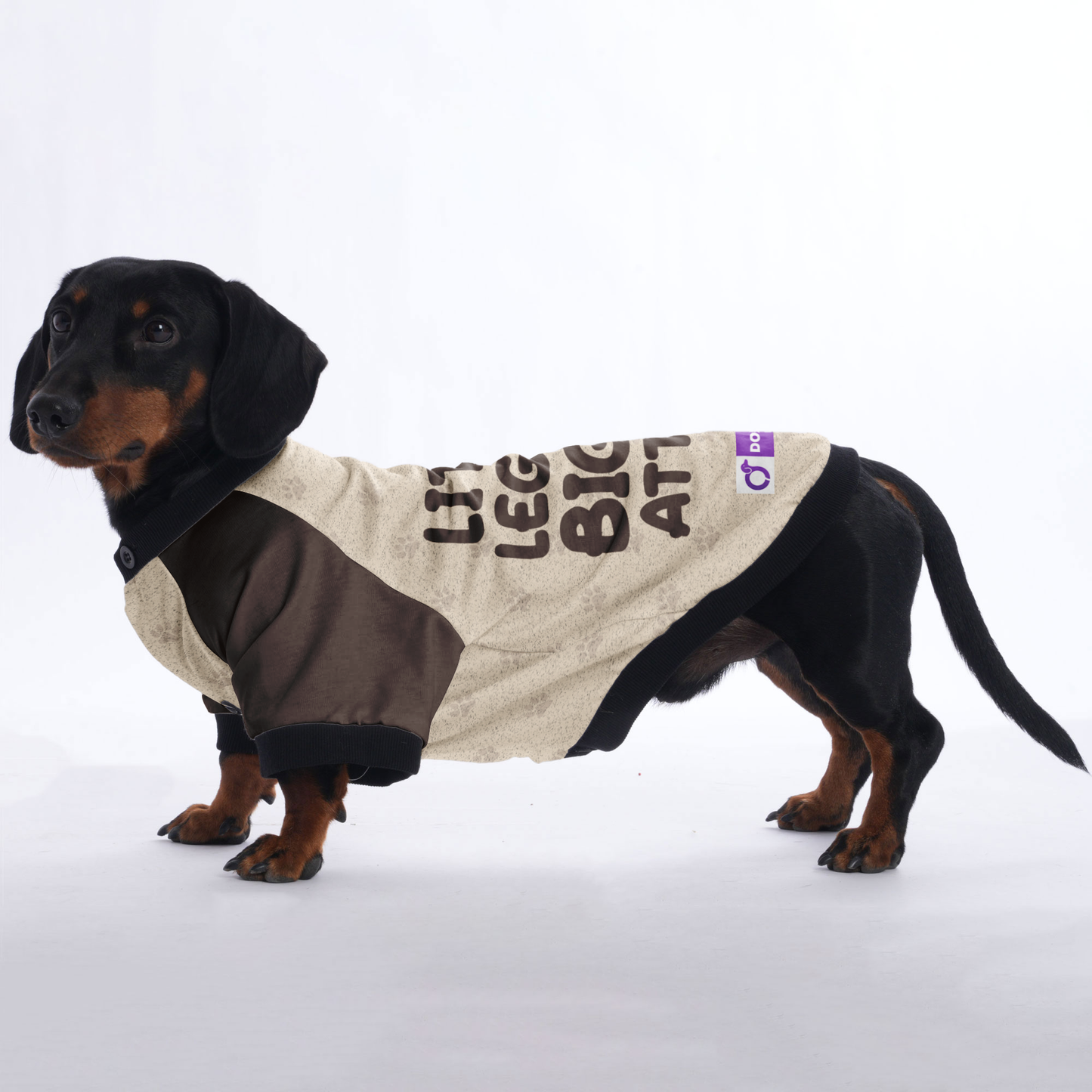 LITTLE LEGS, BIG ATTITUDE  - Jacket for Dachshunds