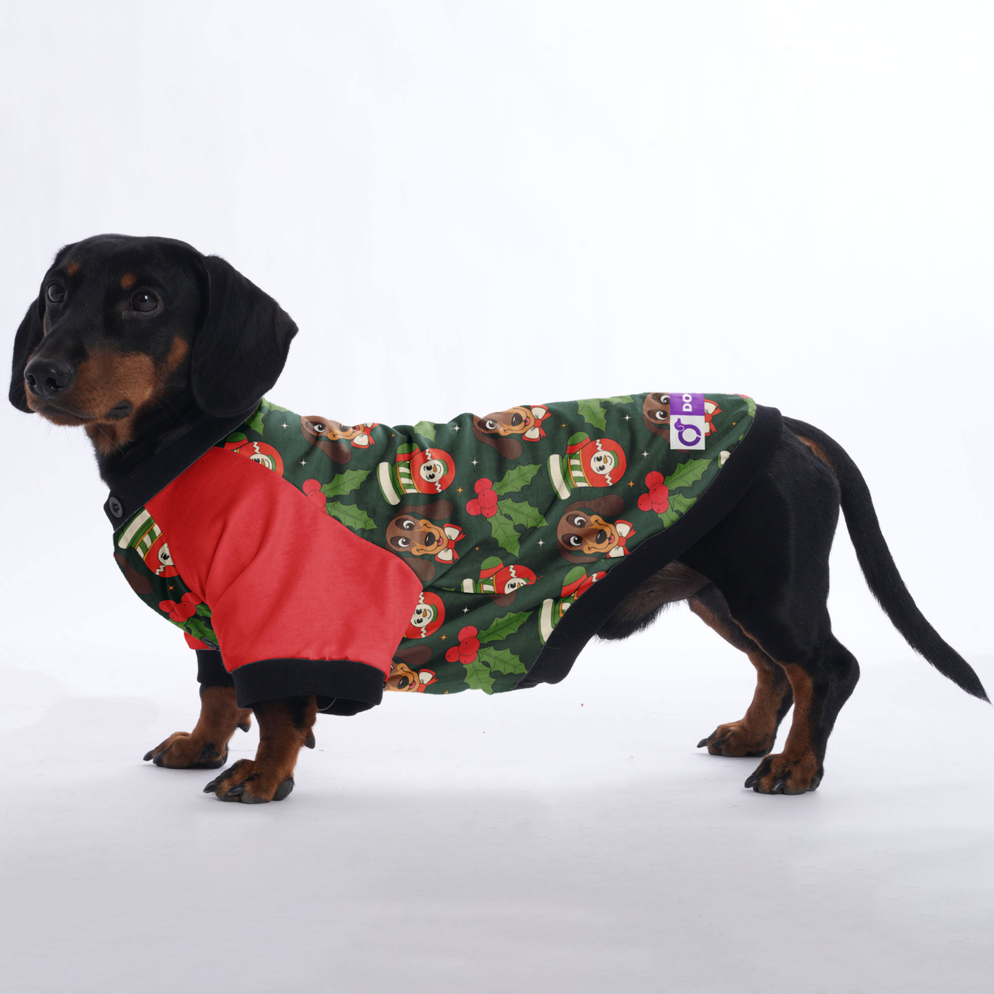 Roxy - Jacket for Dachshunds